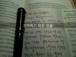 크기변환_2.PNG