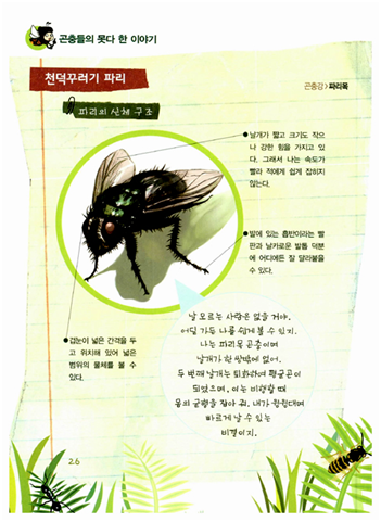 곤충 두 페이지.png