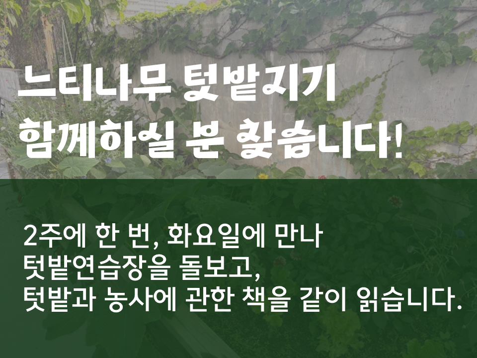 메인 배너