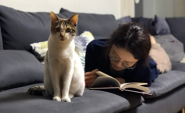 썸네일